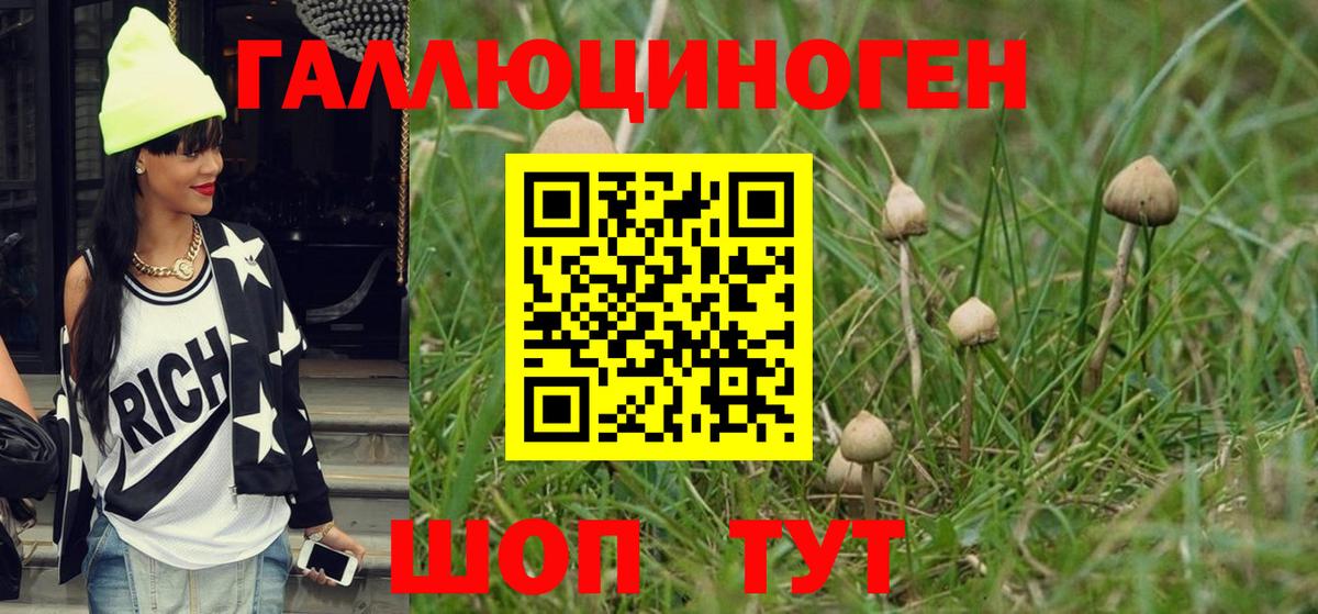 Псилоцибиновые грибы Psilocybine cubensis Кирово-Чепецк